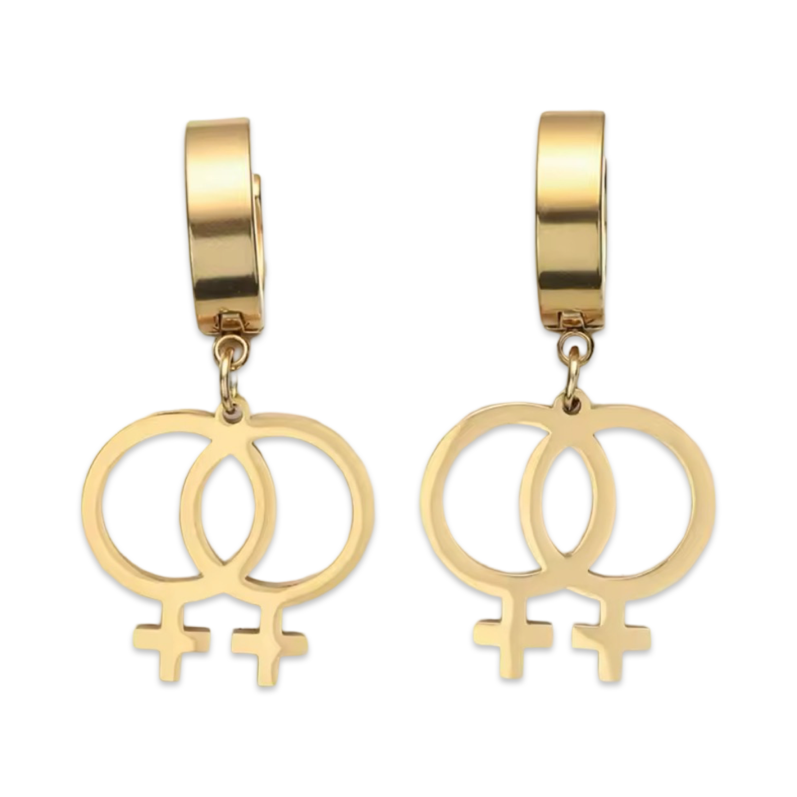 Girls Who Like Girls (Lesbian Symbol Dangle) - Earrings