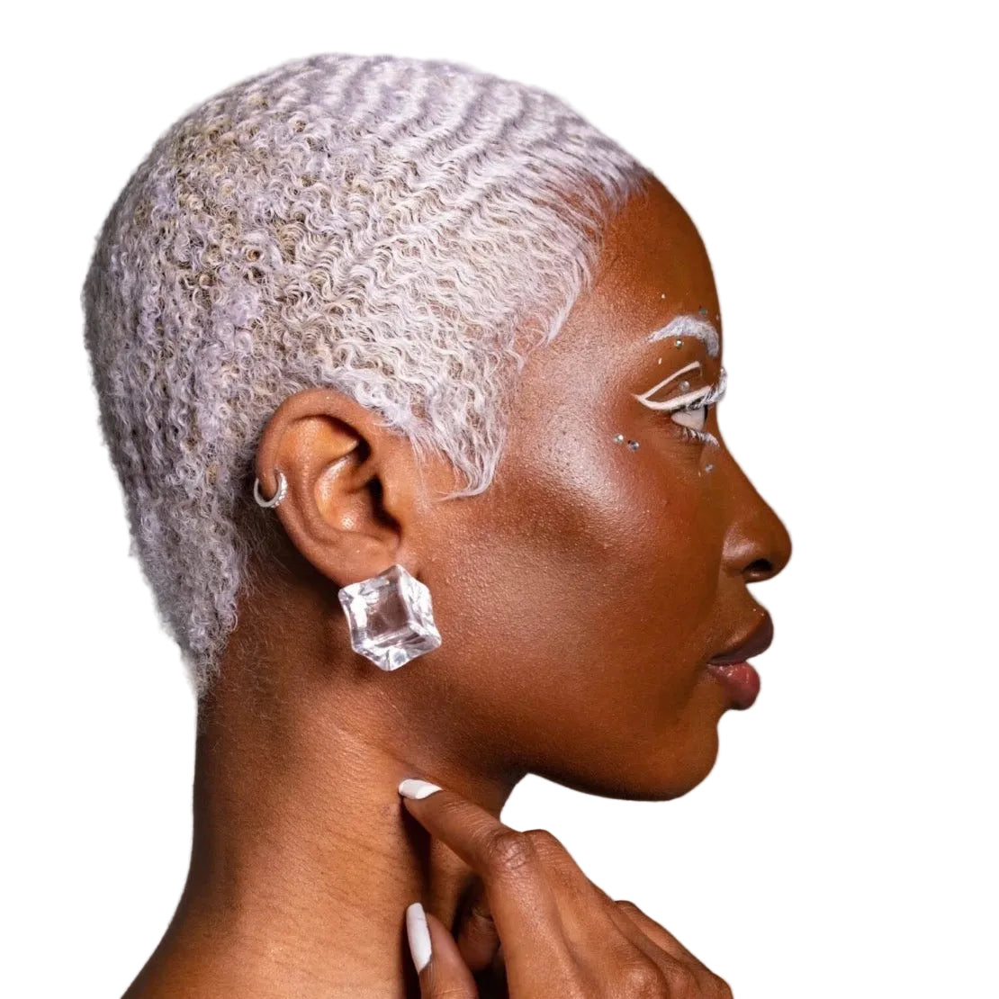 Ice, Ice Baby - Earrings