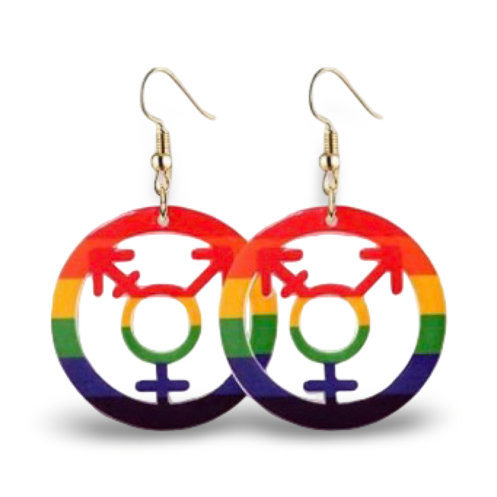 I’m Proud (Pride Earrings)