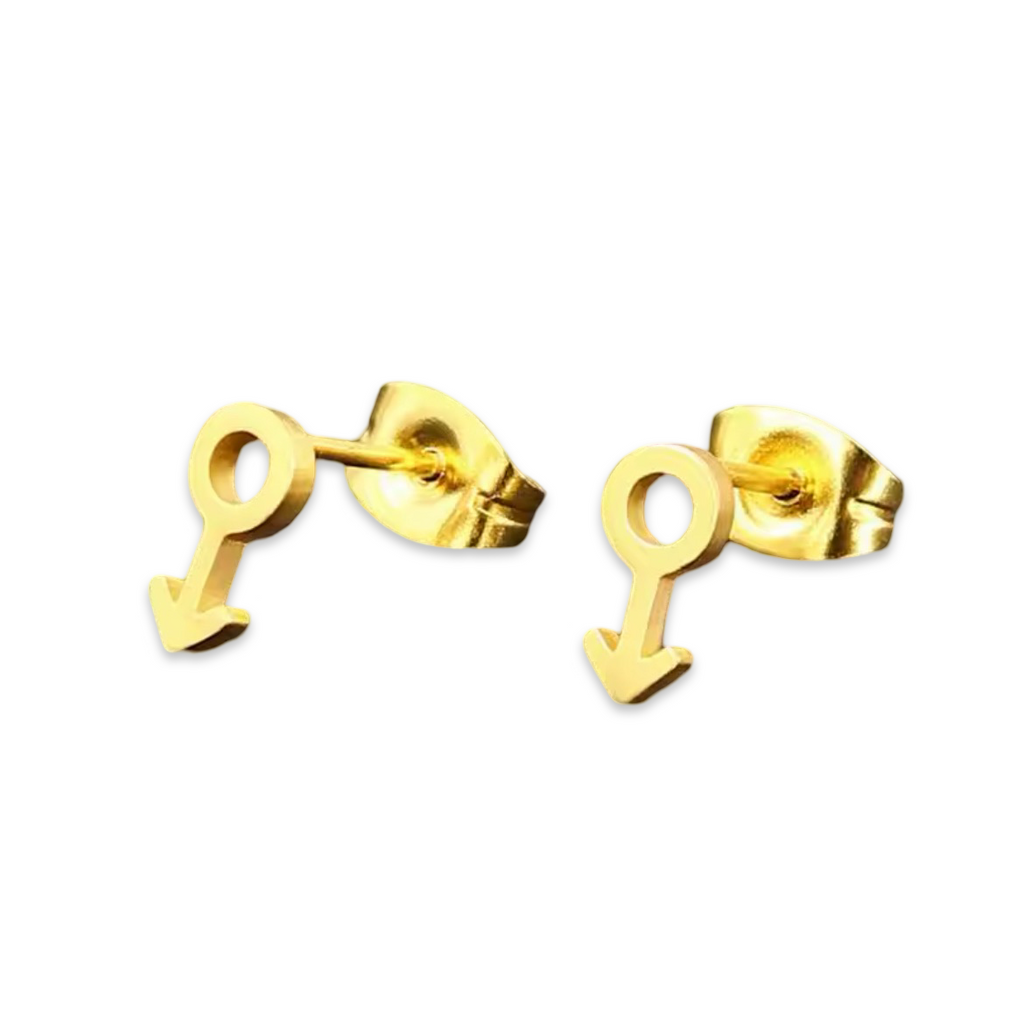 Gender Reveal (Studs with Signs) - Earrings